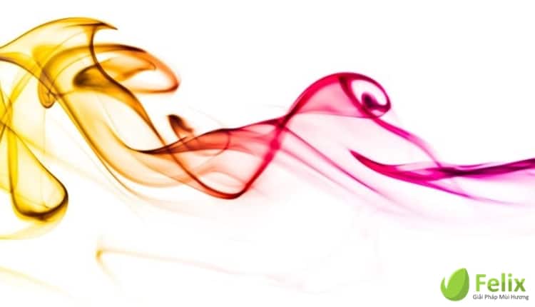 10 linh vuc su dung Scent Marketing