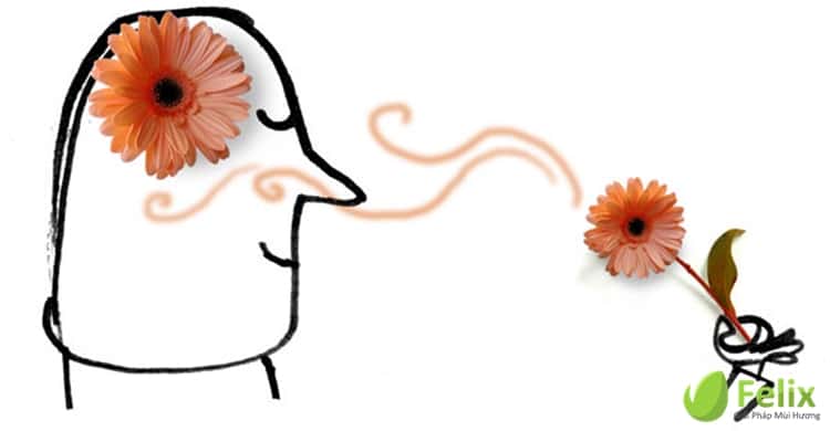 scent marketing