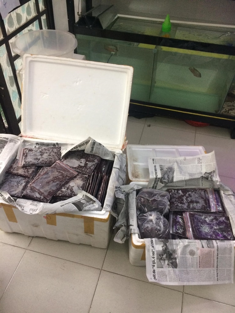 Bán trùn huyết đông lạnh TP.HCM uy tín chất lượng 5 trung- huyet dong lanh