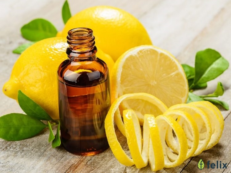 9 loại tinh dầu cho Giáng Sinh thêm an lành bên gia đình người thân 4 tinh dau chanh tuoi cho ngay noen